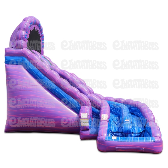 22 Purple Rapids Slide with Pool